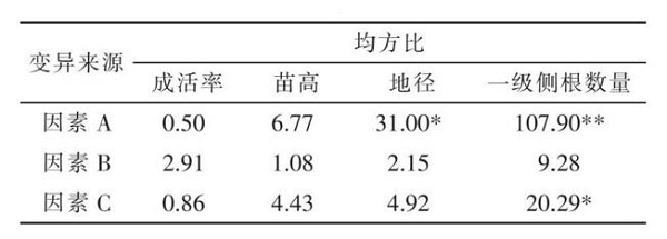 香樟轻型基质网袋育苗技术研究