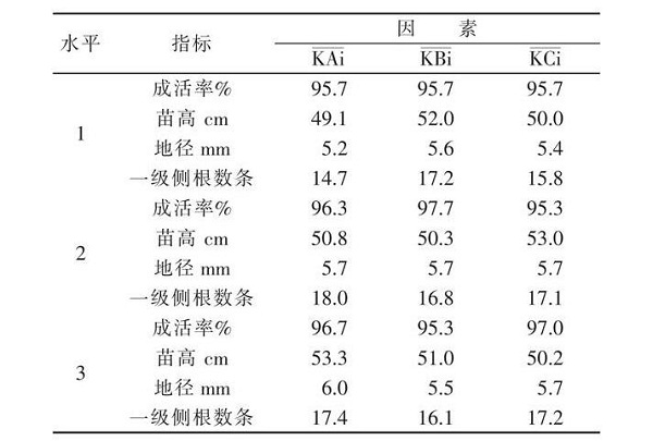 香樟轻型基质网袋育苗技术研究