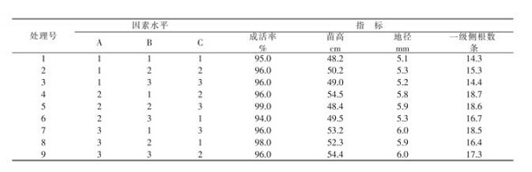 香樟轻型基质网袋育苗技术研究