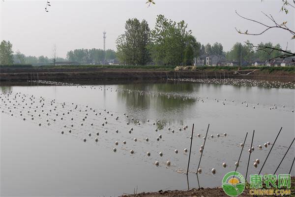 浅谈雨季鱼类科学养殖管理措施