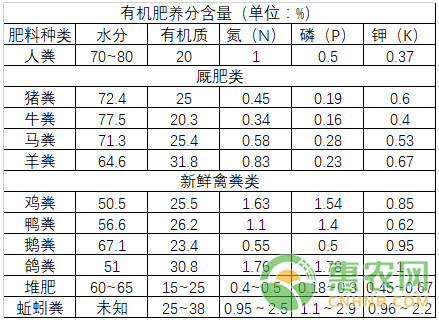 草莓种植课堂：蚯蚓粪在草莓种植过程中的作用