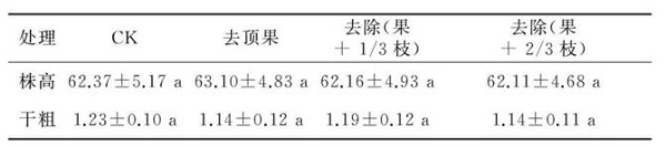 夏季修剪对幼龄凤丹生长结果有哪些影响？