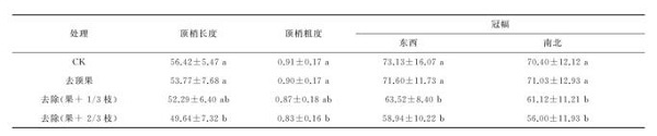 夏季修剪对幼龄凤丹生长结果有哪些影响？