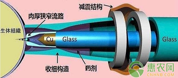 浅析无针注射器对猪群应激激素水平的影响