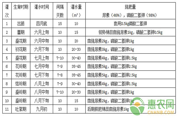 棉花“新陆早57号”高产栽培技术及主要病虫害防治