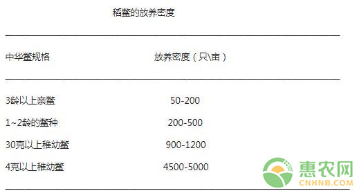 稻鳖综合种养技术要点