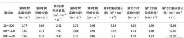 哪些因素会影响红锥生长？红锥播种育苗栽培技术