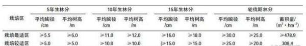 哪些因素会影响红锥生长？红锥播种育苗栽培技术