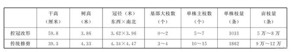 郁闭苹果园如何控冠改形？辽西地区郁闭苹果园控冠改形技术