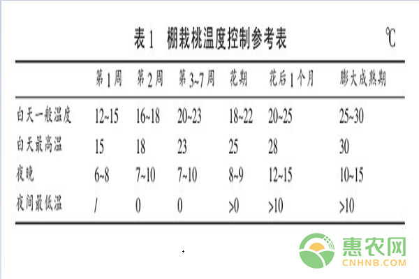 设施桃树栽培过程中的常见问题及其应对措施