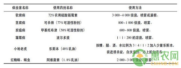 金线莲林下种植技术及主要病虫害防治方法