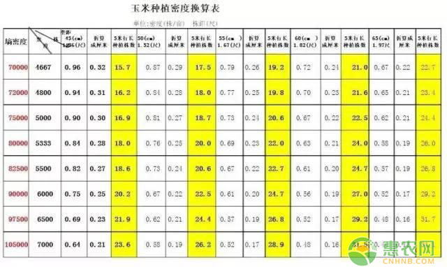 玉米株距计算方法讲解（附种植密度换算表）