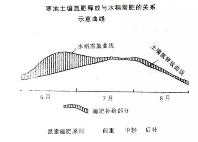 如何预防水稻倒伏：合理施肥